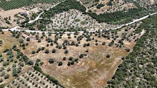 Αγροτεμάχια 29.674 τ.μ. για πώληση, Αργολίδα, Ερμιόνη-thumb-7