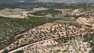 Αγροτεμάχια 29.674 τ.μ. για πώληση, Αργολίδα, Ερμιόνη-thumb-8