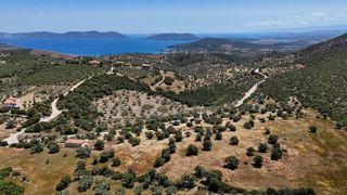 Αγροτεμάχια 29.674 τ.μ. για πώληση, Αργολίδα, Ερμιόνη-thumb-9