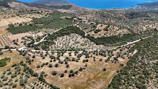Αγροτεμάχια 29.674 τ.μ. για πώληση, Αργολίδα, Ερμιόνη-thumb-11