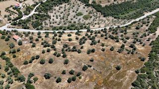 Αγροτεμάχια 29.674 τ.μ. για πώληση, Αργολίδα, Ερμιόνη-thumb-12