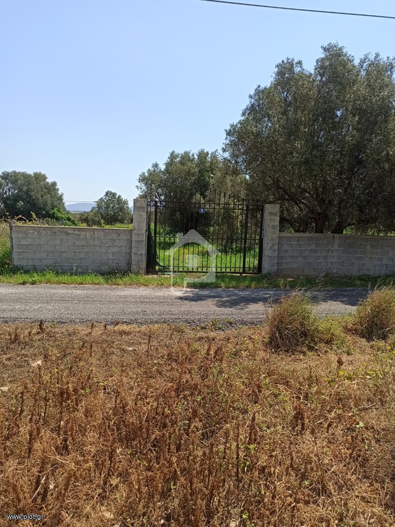 Αγροτεμάχια 365 τ.μ. προς πώληση, Κέντρο Κορωπίου