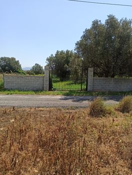 Αγροτεμάχια 365 τ.μ. προς πώληση