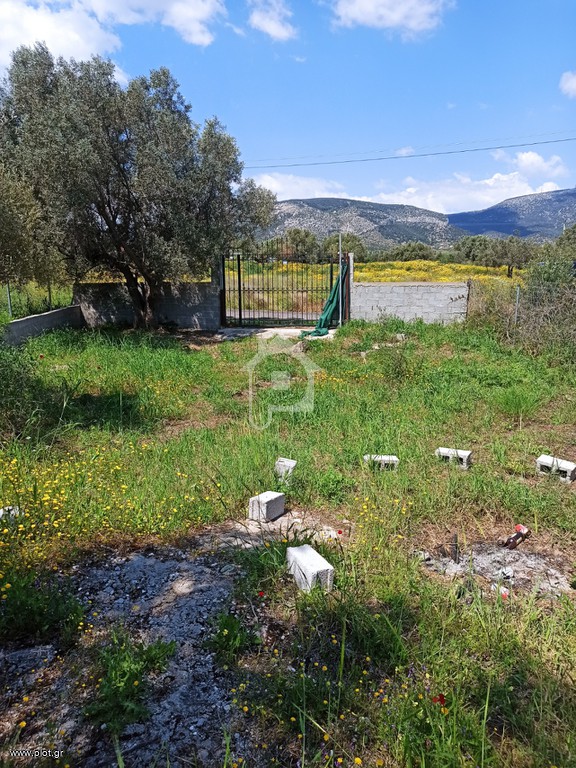 Αγροτεμάχια 365 τ.μ. προς πώληση, Κέντρο Κορωπίου