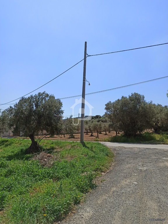 Αγροτεμάχια 365 τ.μ. προς πώληση, Κέντρο Κορωπίου