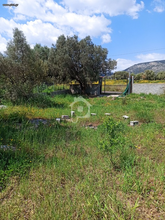 Αγροτεμάχια 365 τ.μ. προς πώληση, Κέντρο Κορωπίου