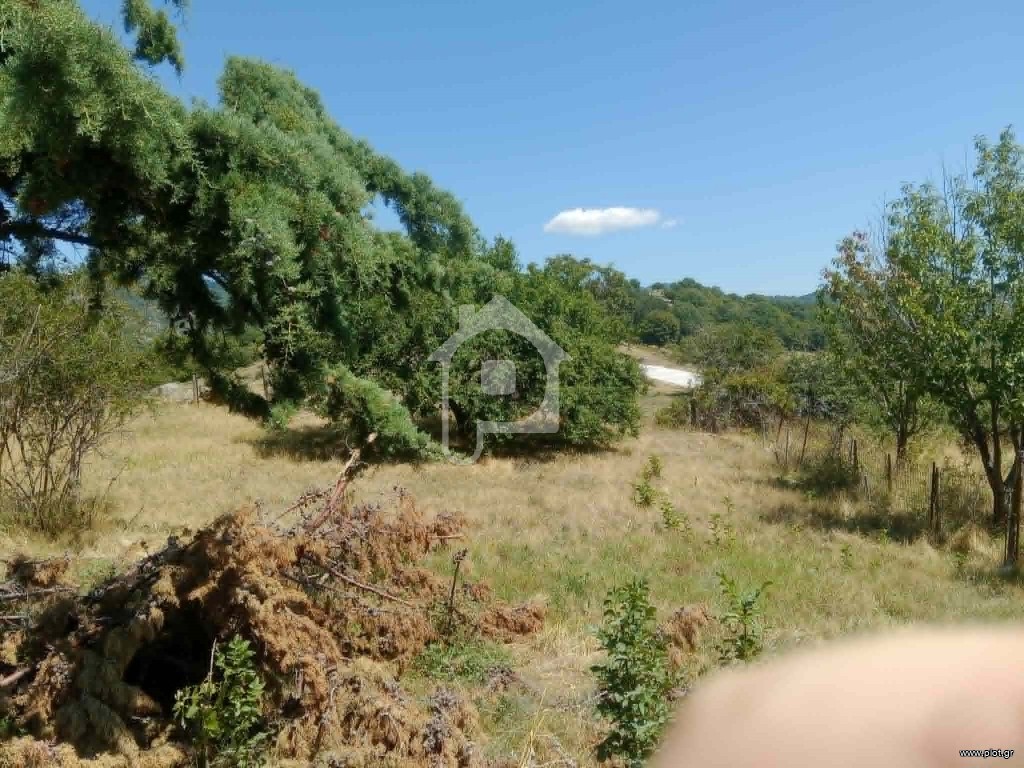 Αγροτεμάχια 2.300 τ.μ. για πώληση, Ν. Σερρών, Άνω Βροντή