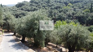 Οικόπεδο 1.200 τ.μ. για πώληση, Ν. Κέρκυρας, Κέρκυρα-thumb-11