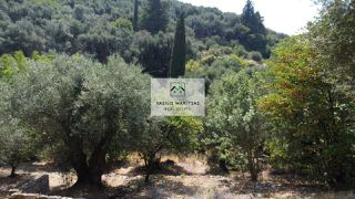 Οικόπεδο 1.200 τ.μ. για πώληση, Ν. Κέρκυρας, Κέρκυρα-thumb-15