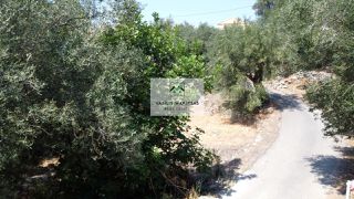 Οικόπεδο 1.200 τ.μ. για πώληση, Ν. Κέρκυρας, Κέρκυρα-thumb-14