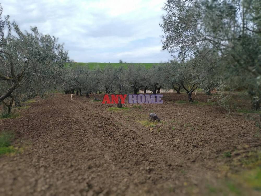 Μονοκατοικία 55 τ.μ. προς πώληση, Κέντρο Επανομής