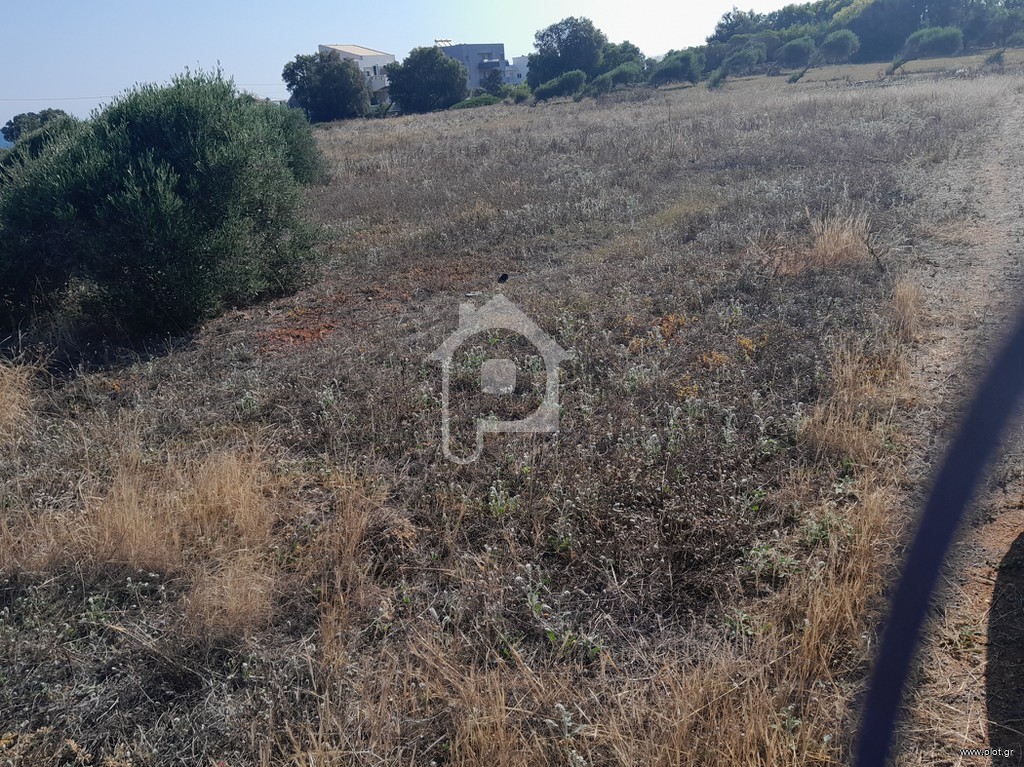 Αγροτεμάχια 729 τ.μ. προς πώληση, Αγκισαράς