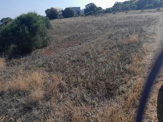 Αγροτεμάχια 729 τ.μ. για πώληση
