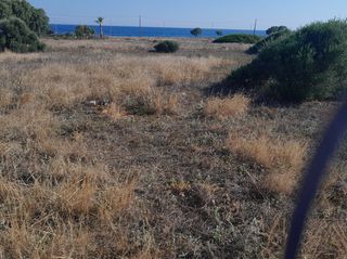 Αγροτεμάχια 729 τ.μ. για ενοικίαση