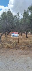 Οικόπεδο 876,48 τ.μ. για πώληση