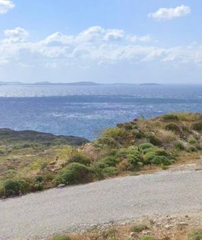 Οικόπεδο 45.000 τ.μ. προς πώληση