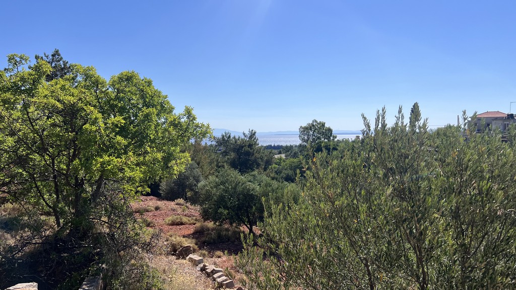 Οικόπεδο 4.935,56 τ.μ. πρός πώληση, Ν. Χίου, Χίος