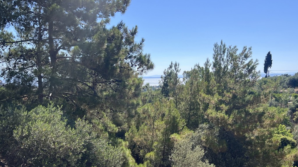 Οικόπεδο 4.935,56 τ.μ. πρός πώληση, Ν. Χίου, Χίος
