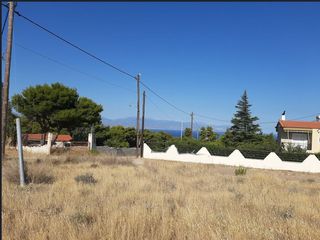 Οικόπεδο 919 τ.μ. για πώληση