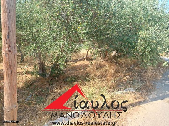 Οικόπεδο 859 τ.μ. για πώληση, Ν. Ρεθύμνου, Γεροπόταμος