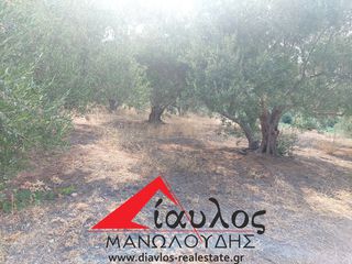 Οικόπεδο 859 τ.μ. για πώληση, Ν. Ρεθύμνου, Γεροπόταμος-thumb-3