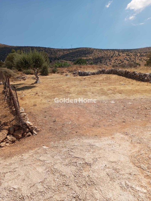 Αγροτεμάχια 275 τ.μ. προς πώληση, Αίγλη