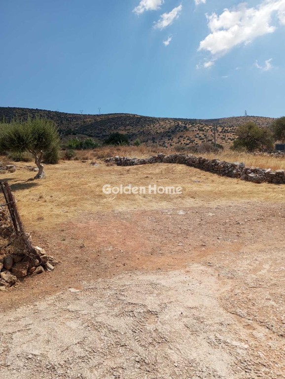 Αγροτεμάχια 275 τ.μ. προς πώληση, Αίγλη