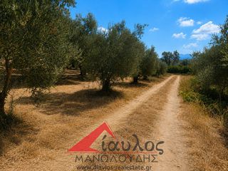 Οικόπεδο 2.500 τ.μ. για πώληση, Ν. Ρεθύμνου, Γεροπόταμος-thumb-1