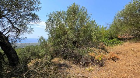 Οικόπεδο 8.867 τ.μ. πρός πώληση