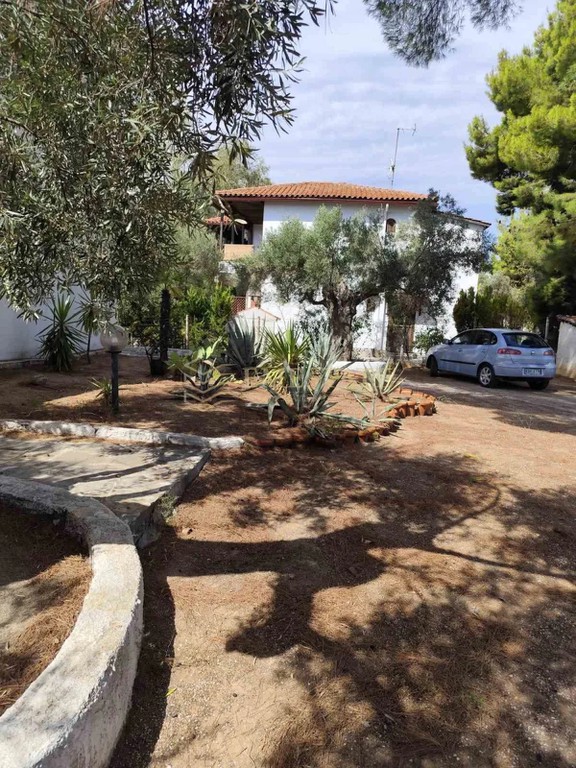 Μονοκατοικία 100 τ.μ. πρός πώληση, Χαλκιδική, Σιθωνία