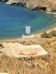 Αγροτεμάχια 4.004 τ.μ. για πώληση