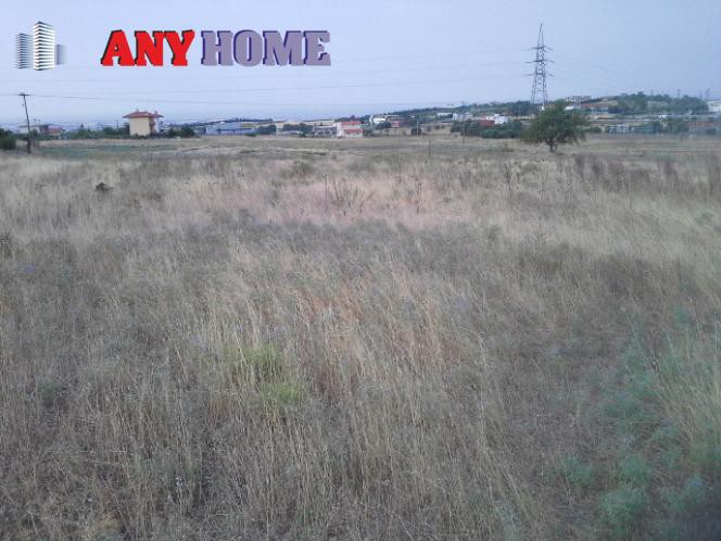 Αγροτεμάχια 4.000 τ.μ. προς πώληση, Κάτω Σχολάρι