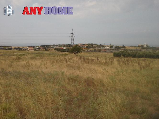 Αγροτεμάχια 4.000 τ.μ. προς πώληση, Κάτω Σχολάρι