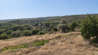 Οικόπεδο 2.105 τ.μ. για πώληση, Ν. Ρεθύμνου, Αρκάδι-thumb-1