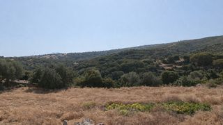 Οικόπεδο 2.105 τ.μ. για πώληση