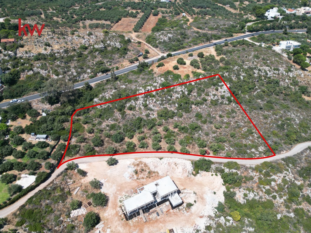 Οικόπεδο 6.068,30 τ.μ. προς πώληση, Κορακιές