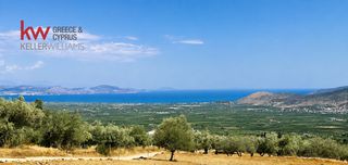Οικόπεδο 2.428 τ.μ. για πώληση