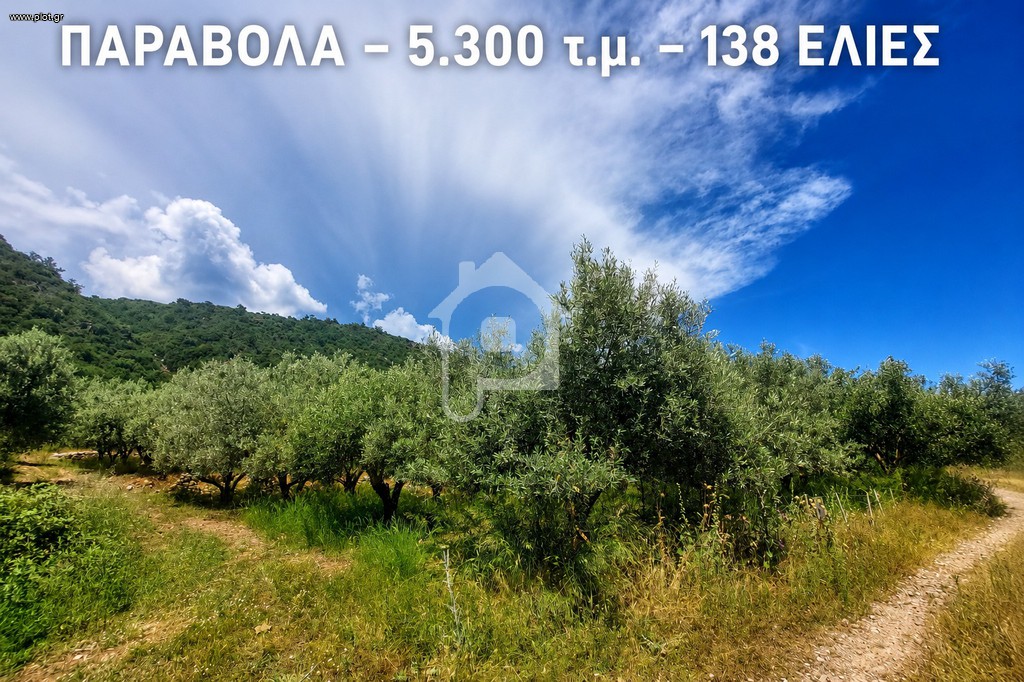 Αγροτεμάχια 5.302 τ.μ. πρός πώληση, Αιτωλοακαρνανία, Παραβόλα