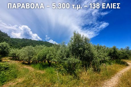 Parcel 5.302 sqm for sale