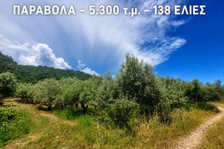 Αγροτεμάχια 5.300 τ.μ. για πώληση