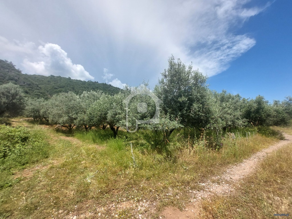 Αγροτεμάχια 5.302 τ.μ. πρός πώληση, Αιτωλοακαρνανία, Παραβόλα