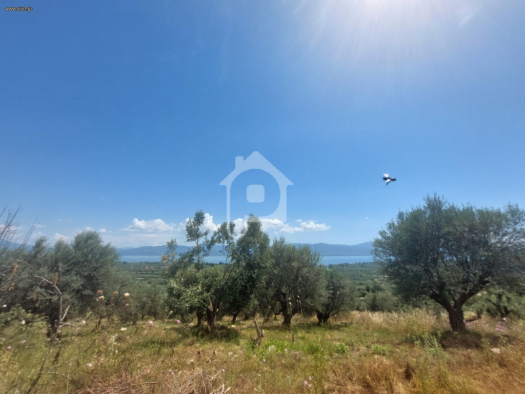 Αγροτεμάχια 5.302 τ.μ. πρός πώληση, Αιτωλοακαρνανία, Παραβόλα