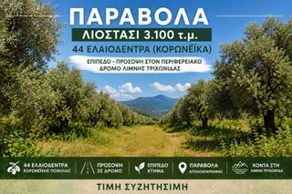 Αγροτεμάχια 3.100 τ.μ. για πώληση