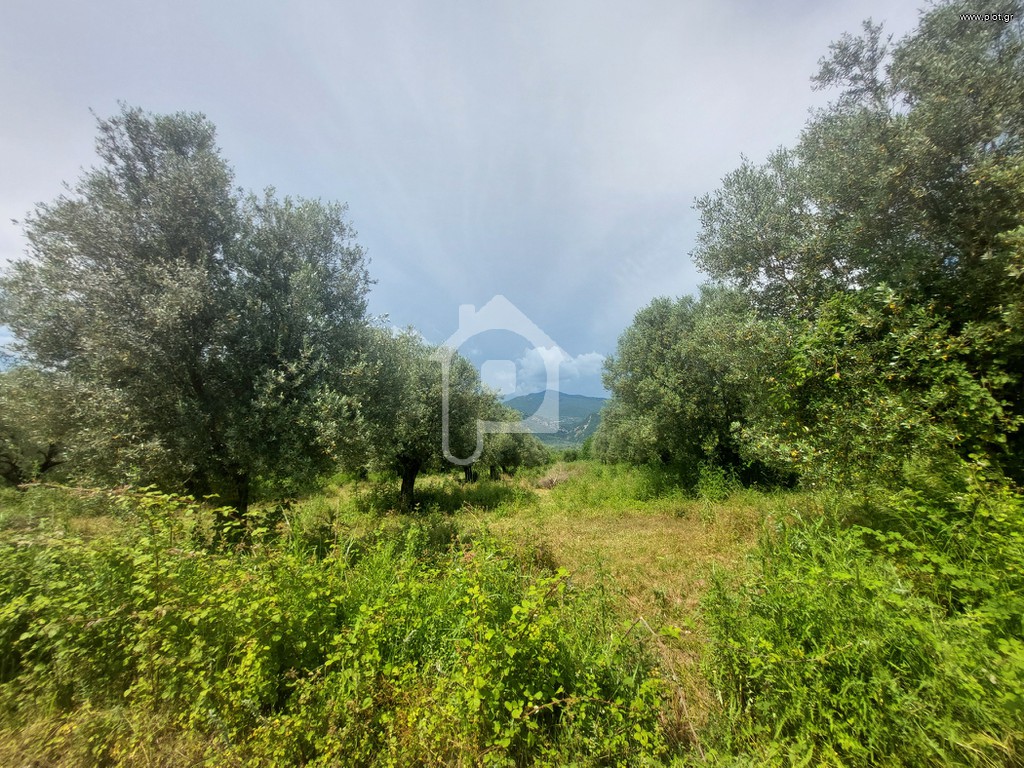 Αγροτεμάχια 3.146 τ.μ. πρός πώληση, Αιτωλοακαρνανία, Παραβόλα