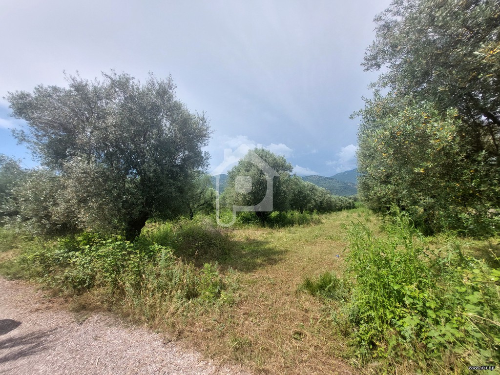 Αγροτεμάχια 3.146 τ.μ. πρός πώληση, Αιτωλοακαρνανία, Παραβόλα