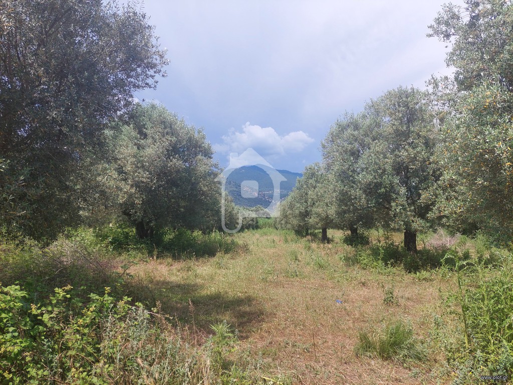 Αγροτεμάχια 3.146 τ.μ. πρός πώληση, Αιτωλοακαρνανία, Παραβόλα