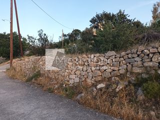 Αγροτεμάχια 1.713,08 τ.μ. για πώληση