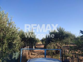 Αγροτεμάχια 7.200 τ.μ. προς πώληση, Ν. Πρέβεζας, Πρέβεζα-thumb-23