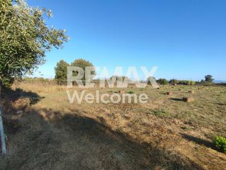 Αγροτεμάχια 7.200 τ.μ. προς πώληση, Ν. Πρέβεζας, Πρέβεζα-thumb-11