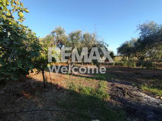 Αγροτεμάχια 7.200 τ.μ. προς πώληση, Ν. Πρέβεζας, Πρέβεζα-thumb-1